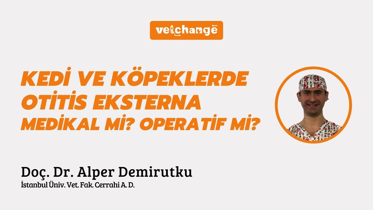 Kedi ve Köpeklerde Otitis Externa Medikal mi ? Operatif mi ? Doç.Dr. Alper Demirutku